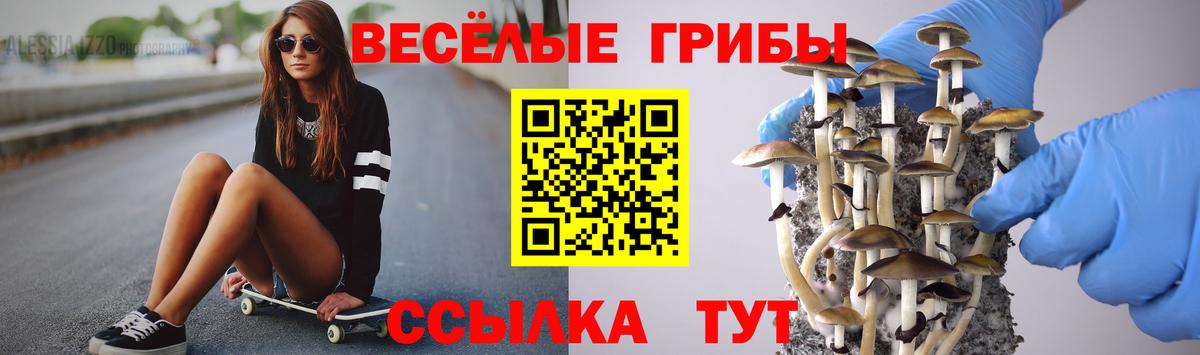 Галлюциногенные грибы GOLDEN TEACHER  где продают наркотики  Обь  Вход с VPN 